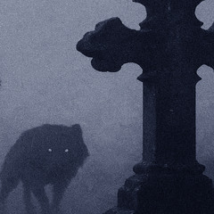 howl (demo2)