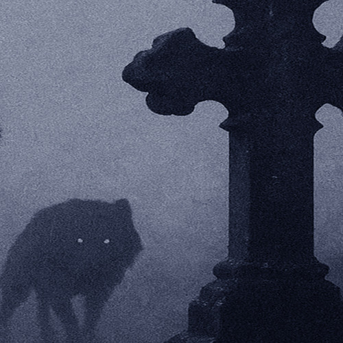 howl (demo2)