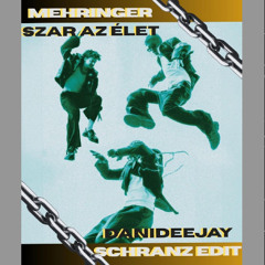 Mehringer - Sz*r az élet (Danideejay Schranz Edit)