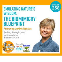Emulating Nature's Wisdom: The Biomimicry Blueprint