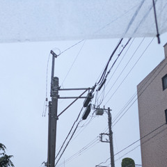 四月の雨