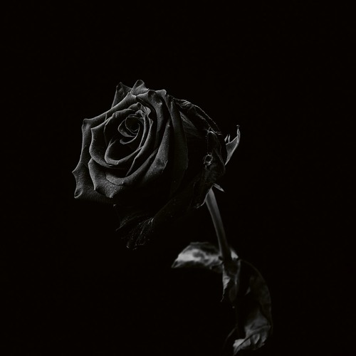MORDCAS014 - Viclan - Healing Wounds [Previews]