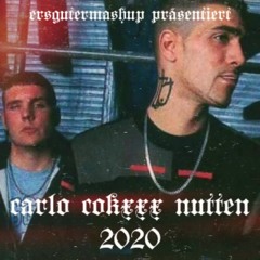 16 - ZUKUNFT 2020 - Sonny Black & Frank White - Carlo Cokxxx Nutten 2020