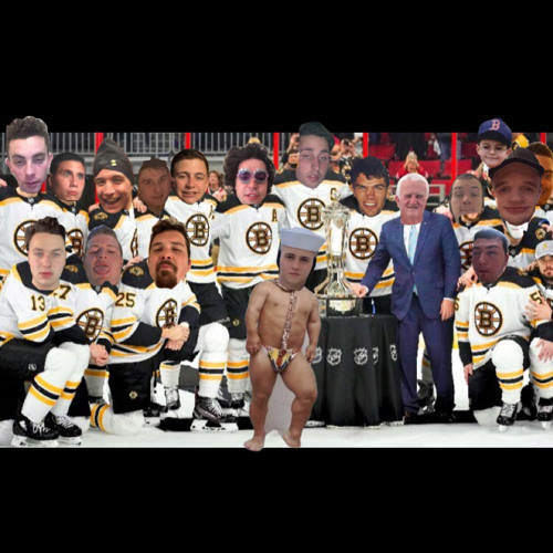 BRUINS IN 5