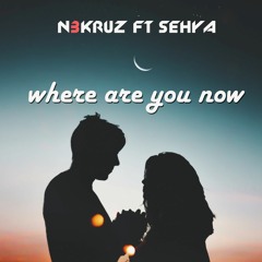 Where Are You Now (ft. Sehya)