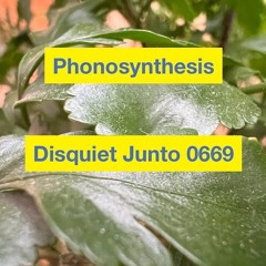 [Disquiet_Junto_0669] Forest Stimuli