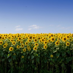 Positive (FREE DOWNLOAD)