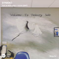 Synkro - 25 November 2025