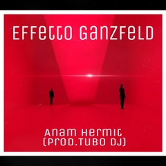 Anam Hermit     Effetto Ganzfeld