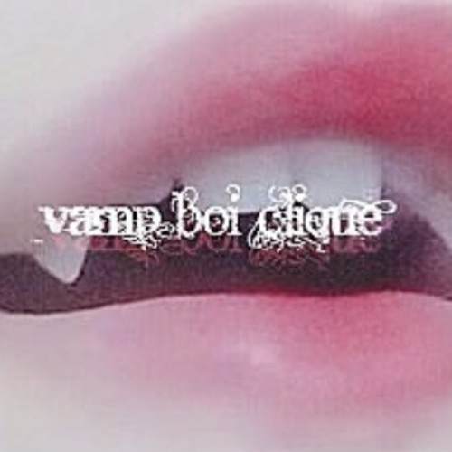 lil tracy - you can never have me