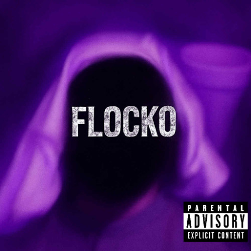 TZ_FLOCKO_INTRO_Prod33nimb