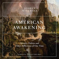 [ACCESS] [KINDLE PDF EBOOK EPUB] American Awakening: Identity Politics and Other Affl