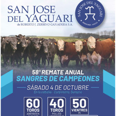 Lucía Zerbino - Remate San José del Yaguarí