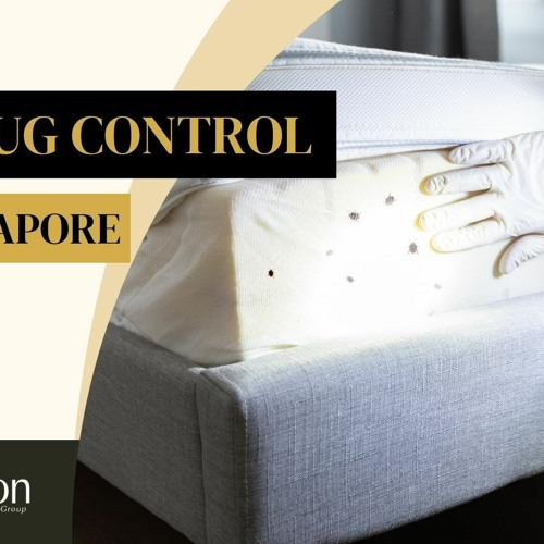 Stream Bed Bug Control In Singapore by Avalon Services Pte Ltd Listen