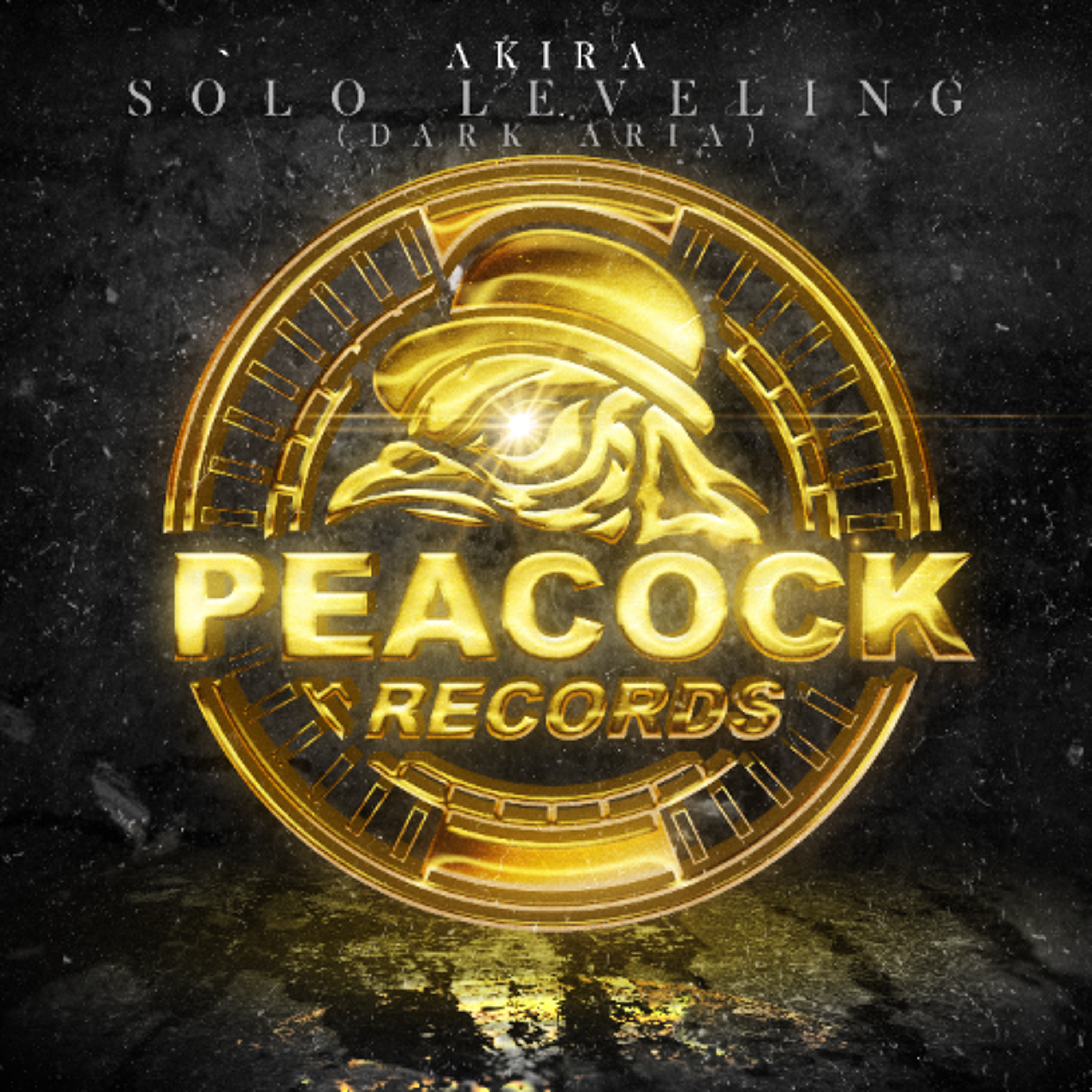 AKIRA - Solo Levelling (Dark Aria)