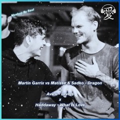 Martin Garrix, Matisse & Sadko - Dragon x Avicii - Levels x Haddaway - What Is Love (Raul Mashup) FD