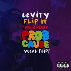 Levity - Flip It (Tape B remix) ProbCause Vocal Flip