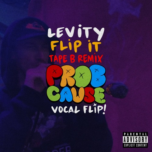 Levity - Flip It (Tape B remix) ProbCause Vocal Flip