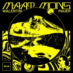 PREMIERE - Walentin Pauer - Maat Mons (From Beyond remix)(Nein Records)