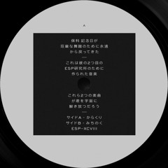 [ESP098] HOSHINA ANNIVERSARY - Karakuri b/w Michinoku - 12"Vinyl/Digital Single
