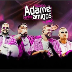 Iframe Pagode do Adame - Entre Amigos In Sampa I Vol.1 [EeZyZfg65OU].mp3