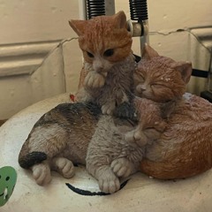 Sweet carolina (lana del rey cover)