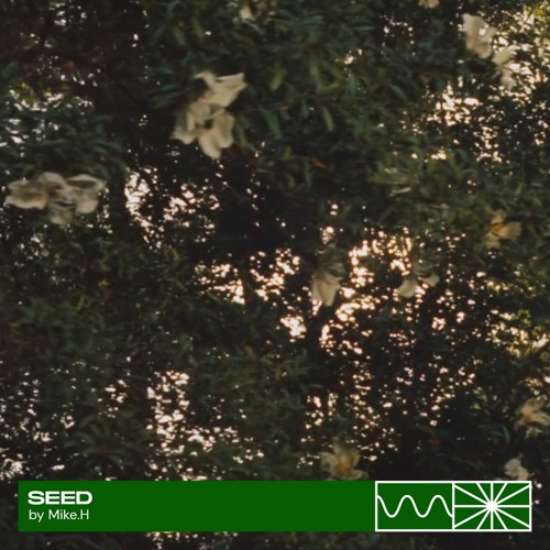 SEED 10/23 by Mike.H