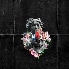 Hard Trap Type Beat Sneaking 115bpm