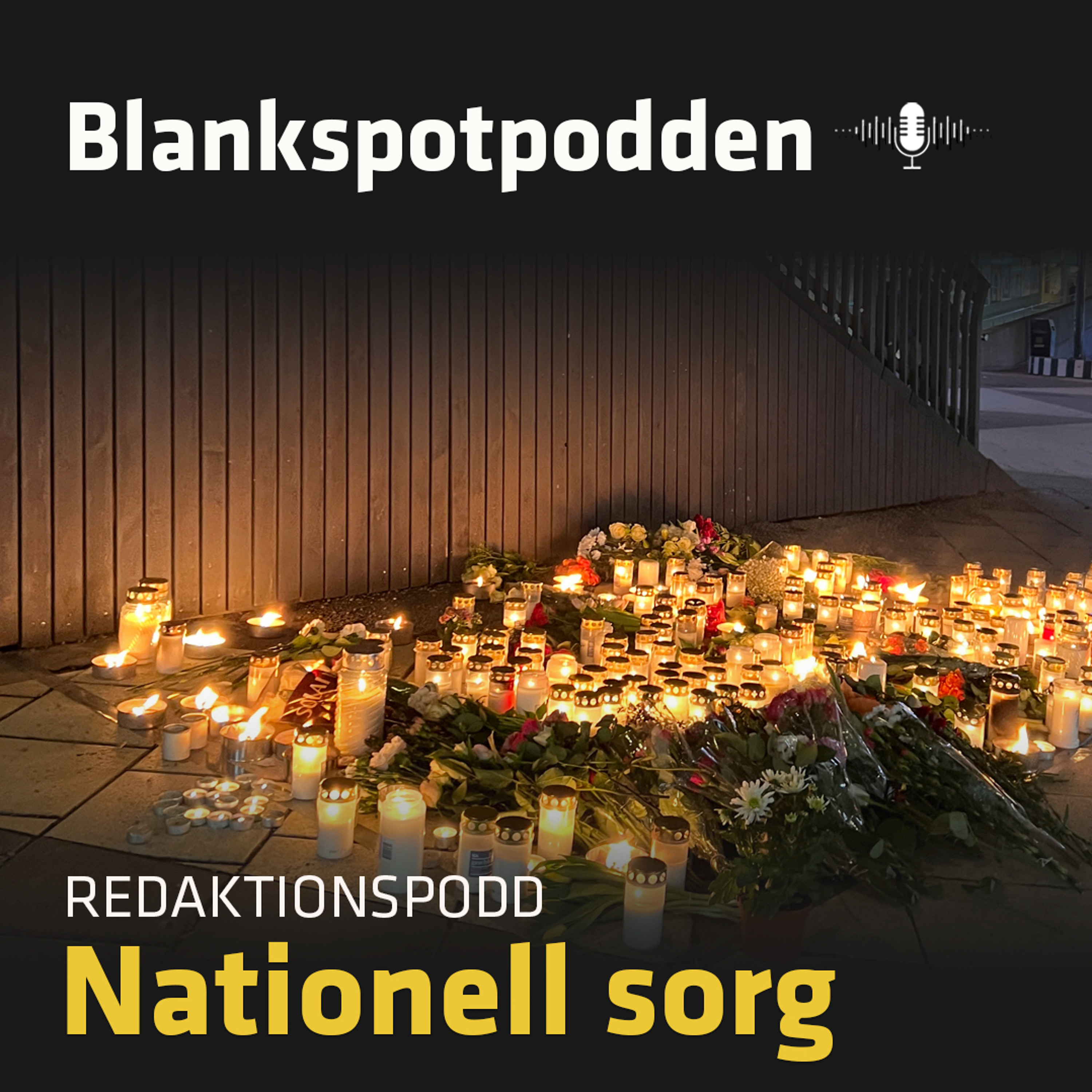 Blankspotpodden