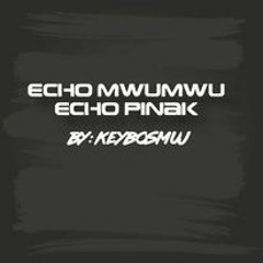 Echo Mwumwu Echo Pinak
