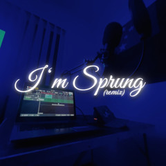 TONZ(ft.Bziggy)-SPRUNG REMIX.m4a