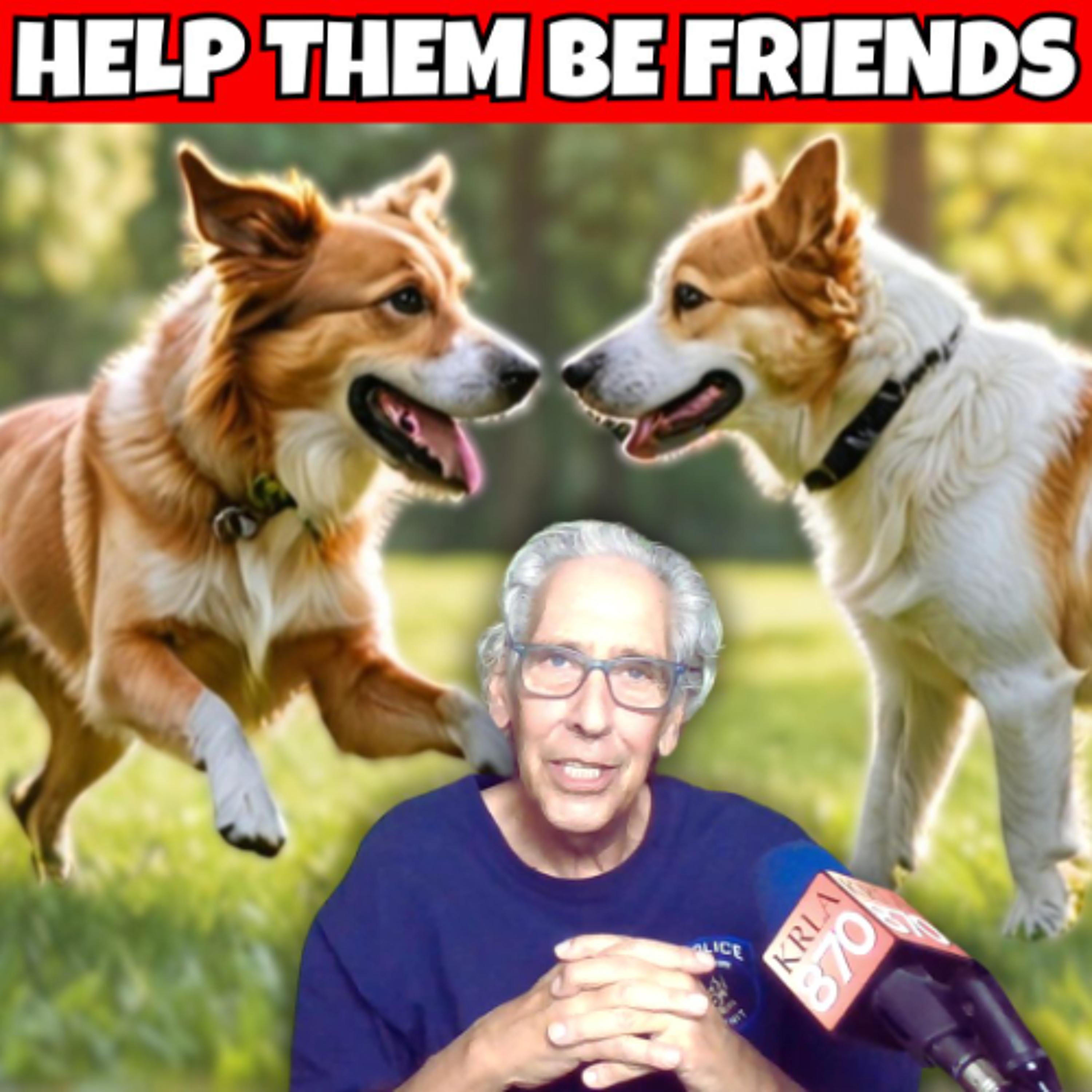 The Pet Show - USA & Canada