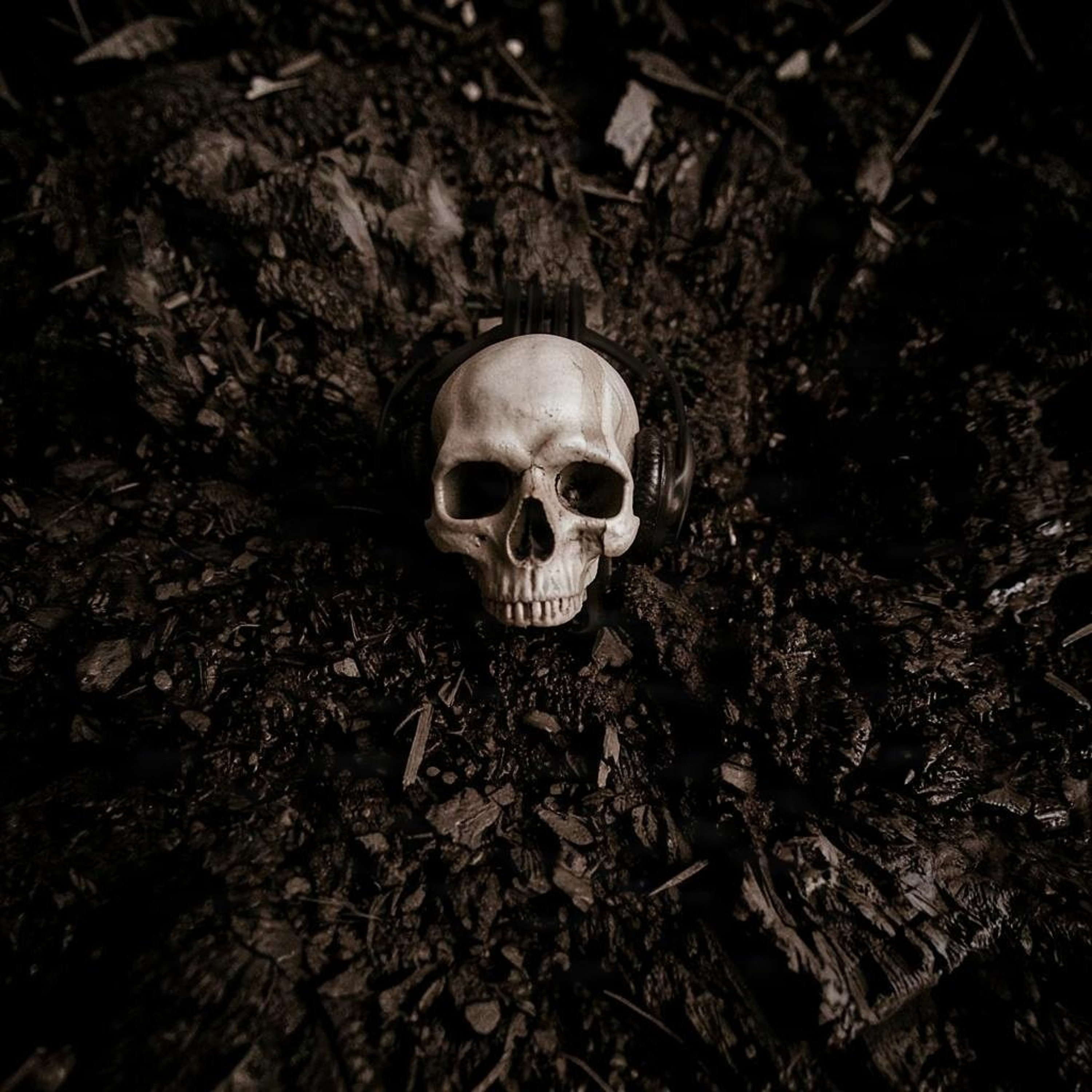 Humn episode artwork