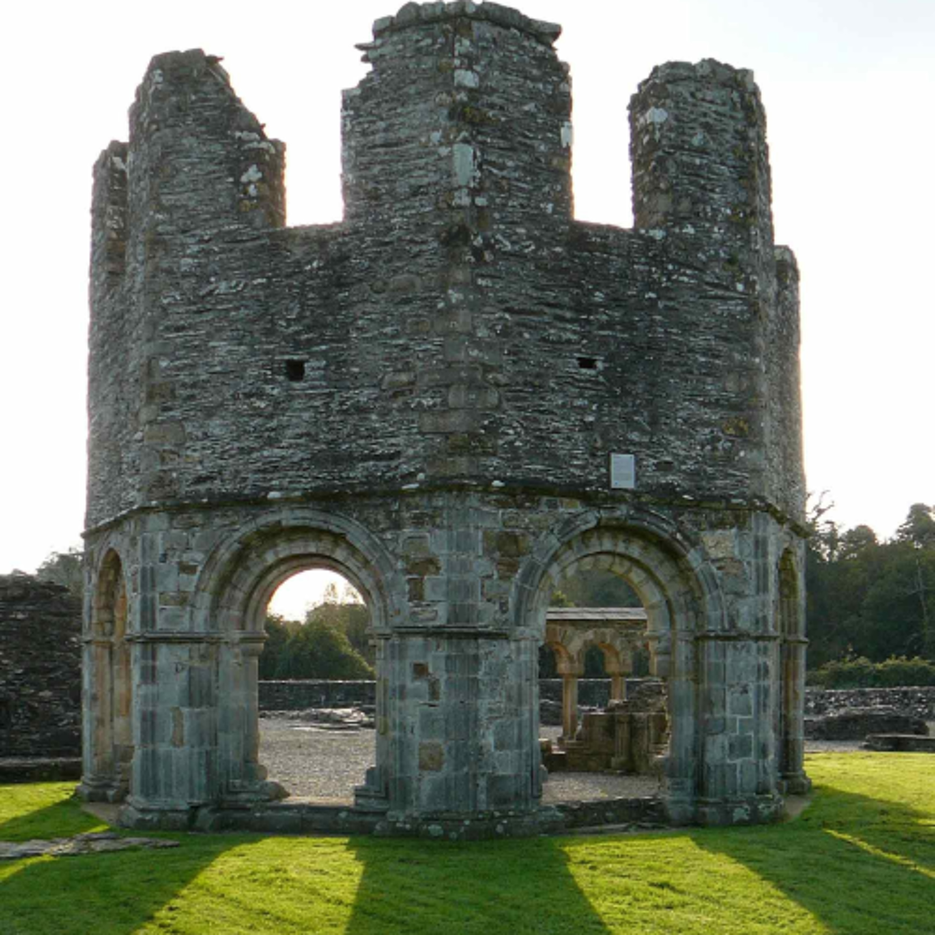 Ireland: From Prehistory to the Protestant Ascendancy