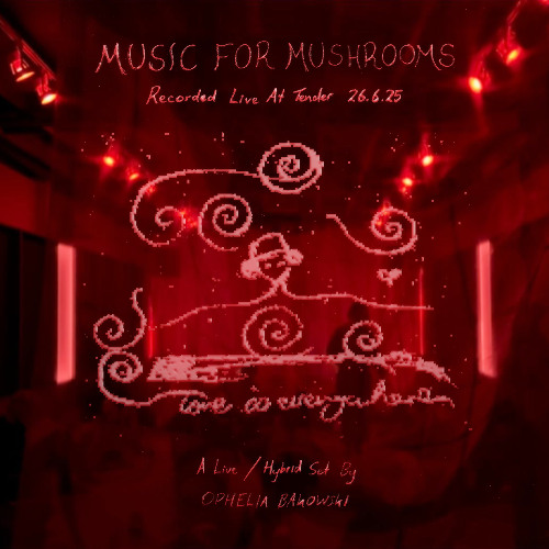 Music For Mushrooms Ⱄ Live @ Tender