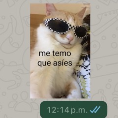 Sinti stoi mas hot