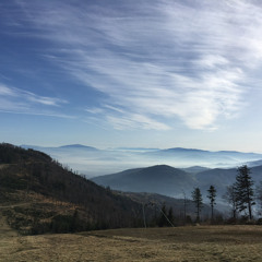 Arrojas - Sobre Paixao