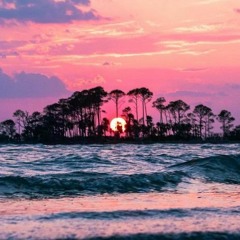 Moments w/ Aaron Grossbard