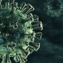 VIRUS BEAT 001
