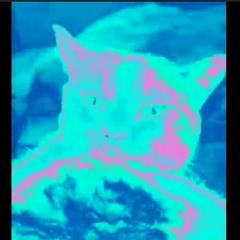 Odesza - Bloom (Lane 8 Remix) + Usher Medley Mashup