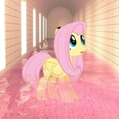 38°celcius三十八