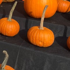 STBB #973 m!crophone murderer