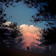 {Optional} Don Toliver / Travis Scott / Cash Cobain beat