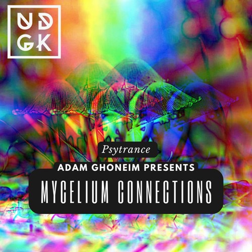 Mycelium Connections