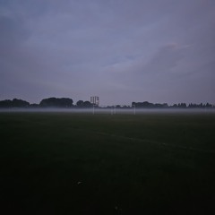 Mooncows Forest Rave 2024 (Live Mix)