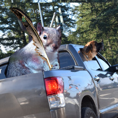 fistfight in my mind-should i stay or should i go