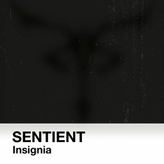 Insignia [OUT NOW on Foundation Audio]