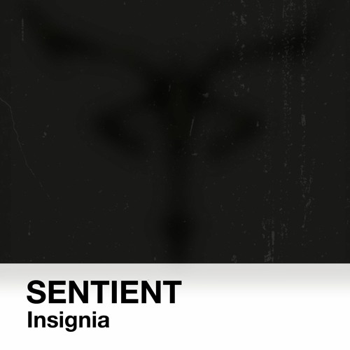 Insignia [OUT NOW on Foundation Audio]