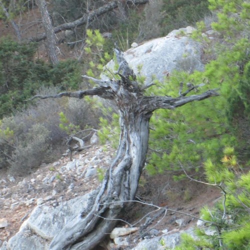 Time Knots 004 w/ newt (11.01.24)
