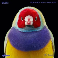 Basic - 12 Novembre 2021